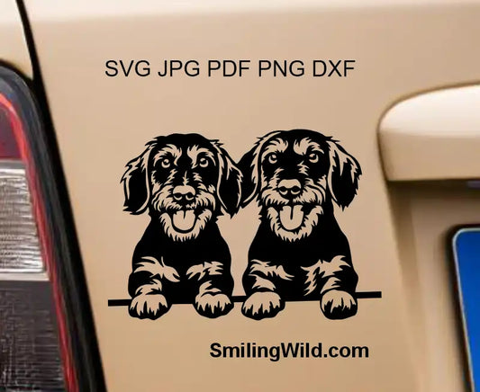 Wirehaired Dachshund SVG PNG DXF - Peeking Sausage Dog double Portrait