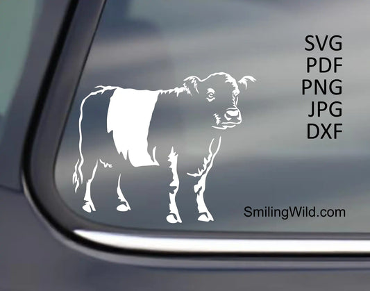 Belted Galloway SVG, PNG, DXF White Vector Cutting Files