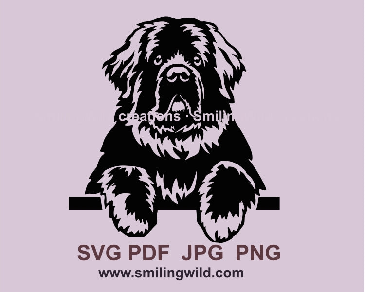 Peeking Newfoundland svg face portrait vector clip art portrait, dog svg