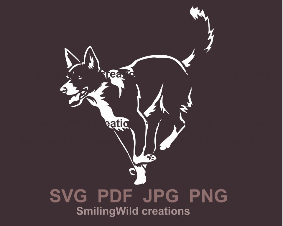 Running smooth border collie svg clip art portrait, dog white vector graphic file