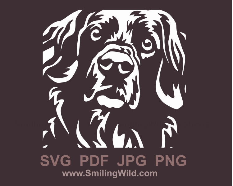 Stabyhoun dog face svg clip art portrait, hunting dog white vector graphic file