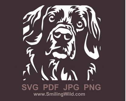 Stabyhoun dog face svg clip art portrait, hunting dog white vector graphic file