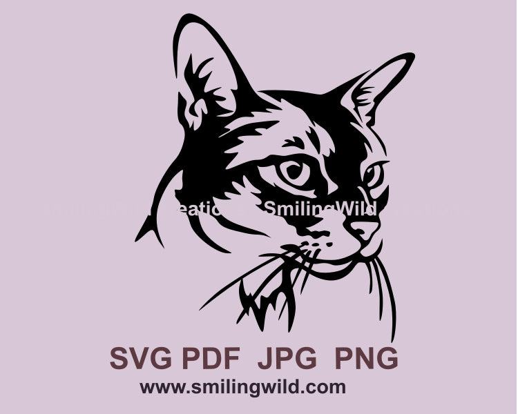 Abyssinian cat black line portrait