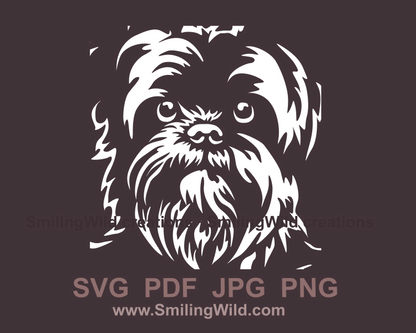 Affenpinscher in white line art close up