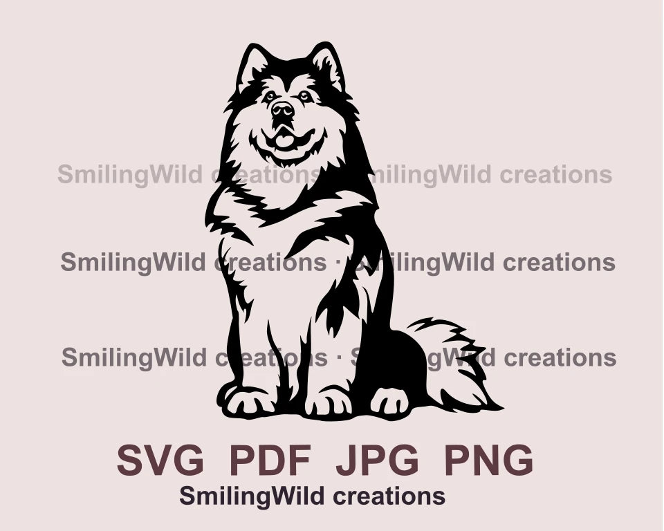 Sitting alaskan malamute black graphic