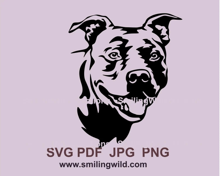 smiling American Staffordshire terrier black graphic art