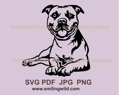 Lying and smiling American Staffordshire terrier in black graphic drawing 