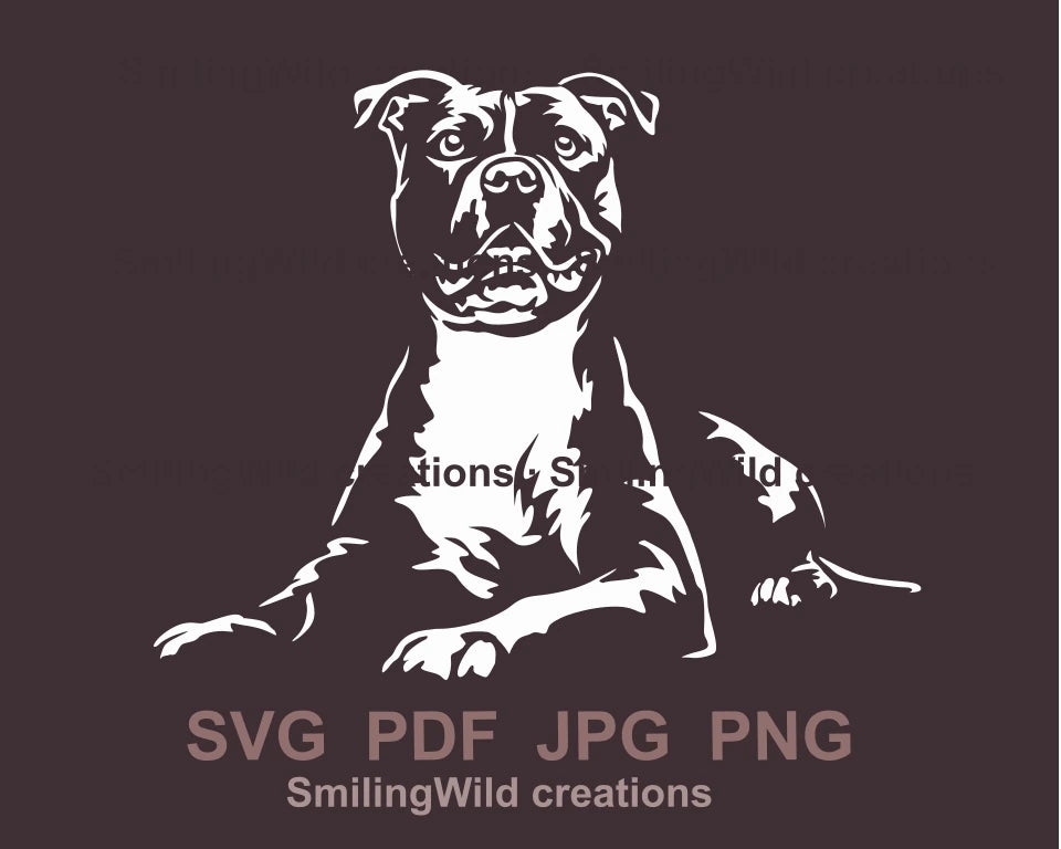 lying American pit bull terrier in white ggraphic art