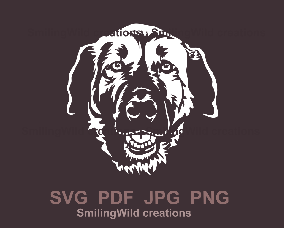 anatolian shepherd face frontal drawing in white graphic