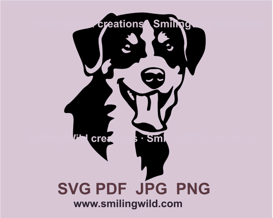 smiling Appenzeller Sennenhund face in graphic desing illustration