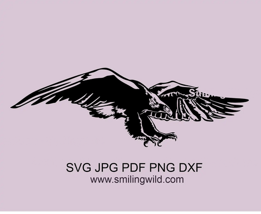 Australian animal Wedge-tailed eagle detailed SVG, png and dxf clipart design preview
