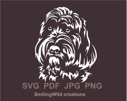 australian cobberdog portrait in white graphic svg deesign