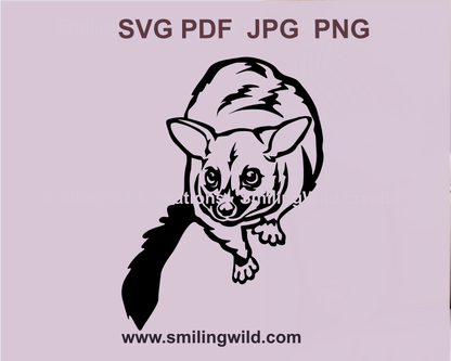 a brushtail possum svg png image is australian wildlife vector illustration