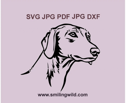 Azawakh SVG & PNG – High-Quality Black Hunting Dog Vector Graphic for Cricut, Laser Cutting & DIY Projects – Ideal for Stickers, Decorations, and Custom Crafts