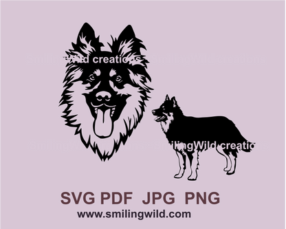 Bohemian shepherd head portrait and full body made in vector art