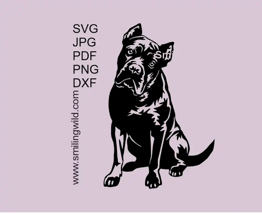 Cane Corso full body sitting dog SVG PNG DXF vector clipart digital design for Cricut, Silhouette and laser cutting projects