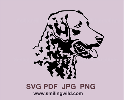 Chesapeake bay retriever profile in graphyc style