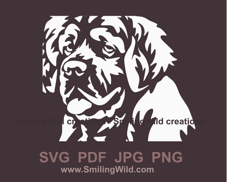 Clumber spaniel svg vector file