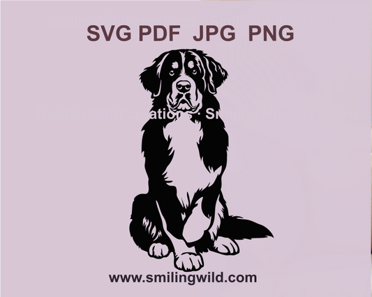 cute bernese mountain dog svg and png vector cuttable clip art design for crafting on laser and cricut devices