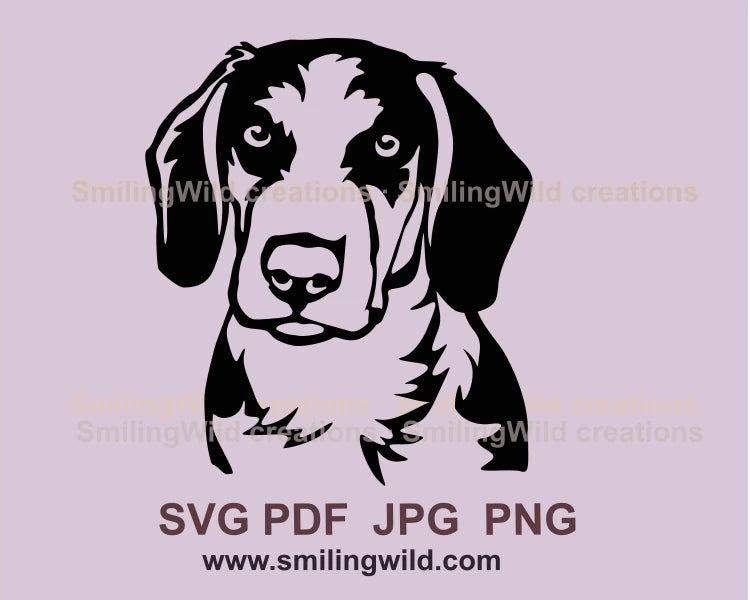 A hunting dog - drever face frontal graphic illustration