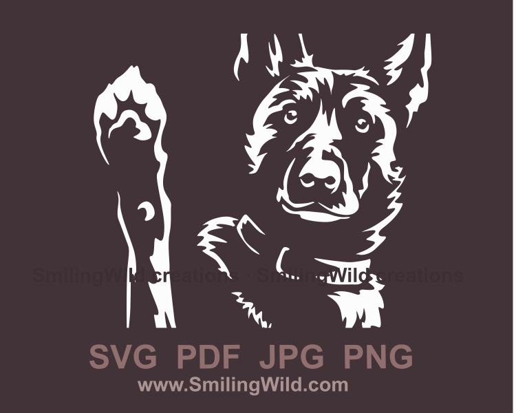 Dutch shepherd face and uplifted paw in a white graphic design