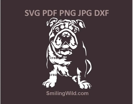 Realistic white sitting English Bulldog vector clipart available in SVG, PNG, and DXF formats for Cricut, Glowforge, Silhouette, and laser cutting machines