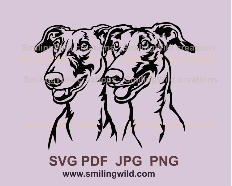 two english greyhound double portrait in graphic style