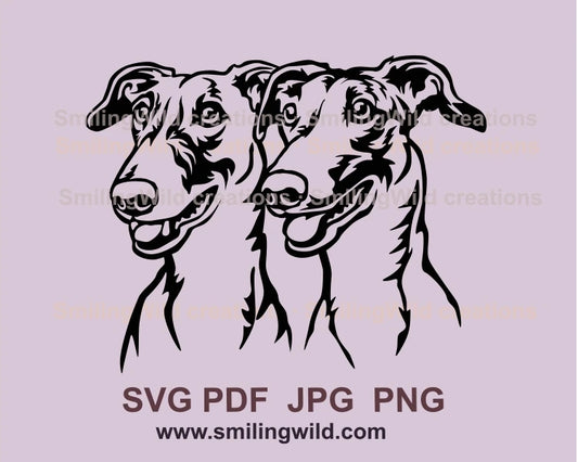 two english greyhound double portrait in graphic style