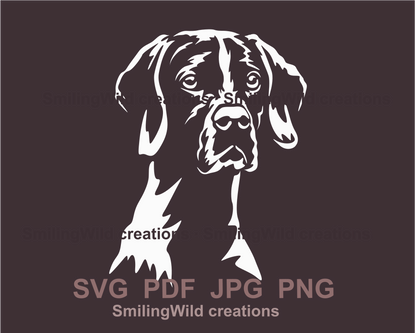 Alert English pointer portrait made in white graphic art