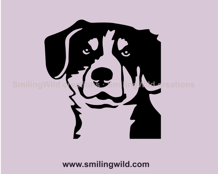 Entlebucher mountain dog vector portrait in close up position 
