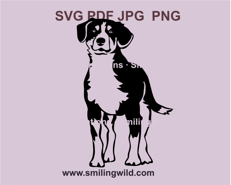 svg cuttable image of a full body Entlebucher mountain dog