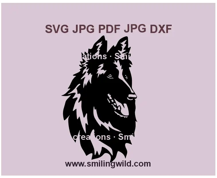 Realistic smiling Groenendael dog SVG, PNG, DXF vector design for Cricut and laser cutting projects