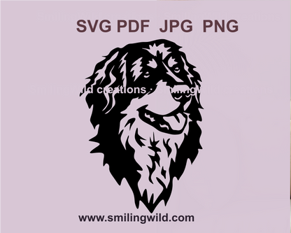 smiling Hovawart  dog svg clip art design for crafting DIY projects