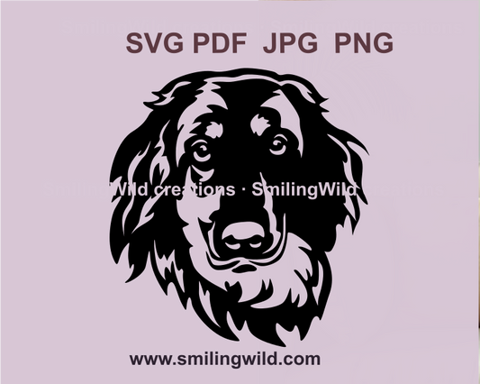 havowart face svg showcasing a unique pet portrait