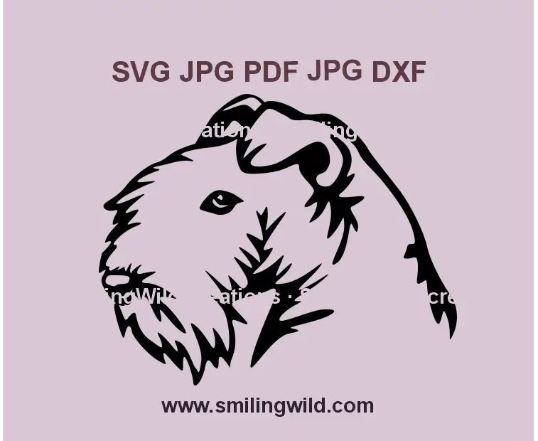 Lakeland Terrier head SVG, png and dxf clipart – detailed vector graphic for Cricut and laser cutting projects