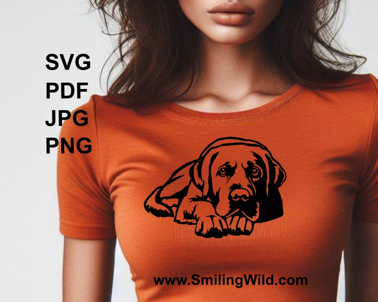 Labrador Retriever SVG Clip Art Vektor Grafik schneidbare Datei