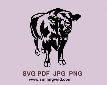 Bulle SVG Clip Art, Ganzkörper Black Angus Kopf Design, Rinder schneidbare Vektordatei