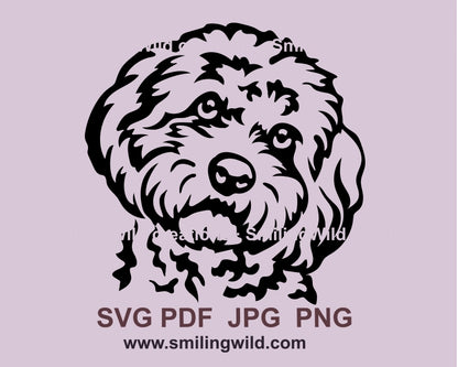 Goldendoodle svg cuttable clip art portrait