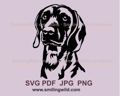 Bavarian mountain scent hound svg vector file