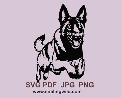 Jumping Dutch shepherd svg vector clip art, dog agility svg