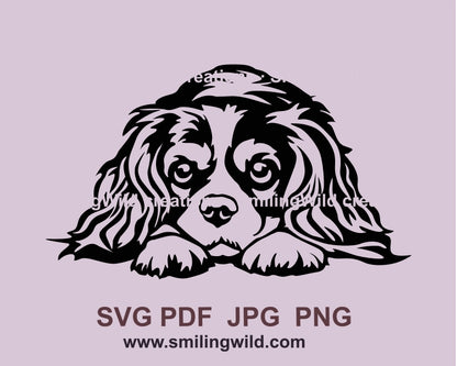 Peeking Cavalier King Charles Spaniel svg vector clip art file