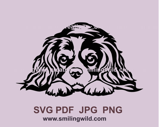 Peeking Cavalier King Charles Spaniel svg vector clip art file