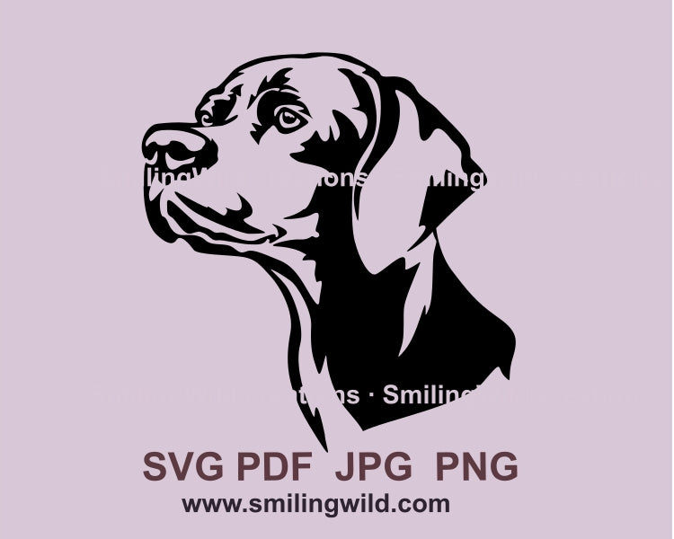 English pointer dog svg clip art face design, gun dog vector graphic portrait