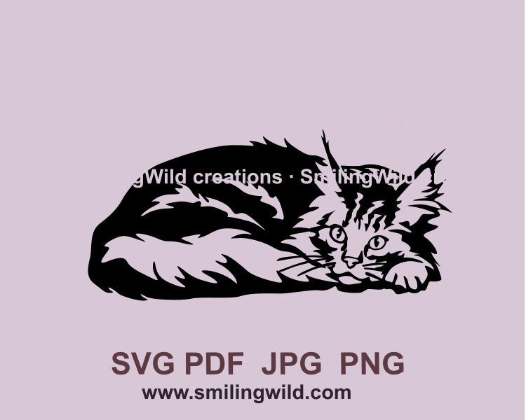 Liegende Maine Coon Katze SVG Vektordatei, Katze schneidbares Clip Art Design