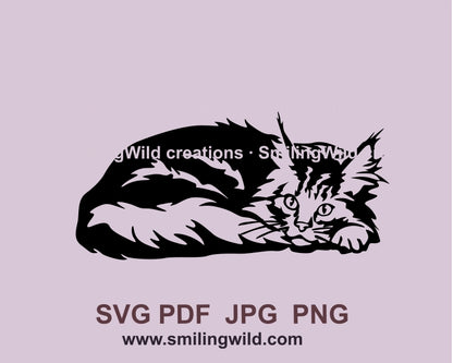 Lying Maine coon cat svg vector file, cat cuttable clip art design