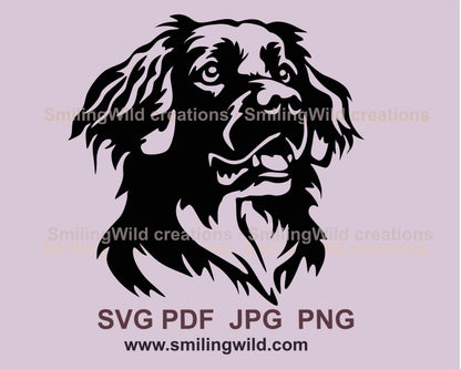 Stabyhoun svg dog vector graphic clip art, Stabyhoun digital vector graphic file