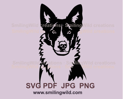 Smooth border collie svg portrait