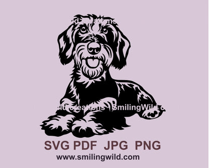 Wire Haired Dachshund svg clip art, dog vector graphic file