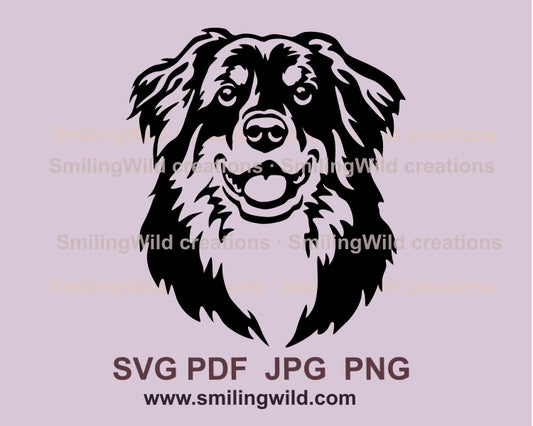 Australian shepherd svg dog vector graphic clip art, black and tan Australian shepherd digital vector graphic file
