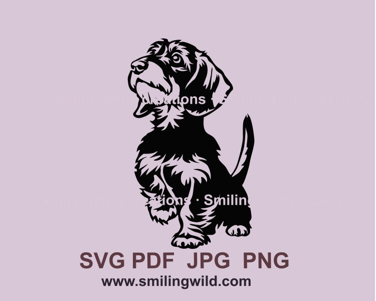 Rauhaardackel SVG Vektor Grafikdatei, Hund SVG Clip Art